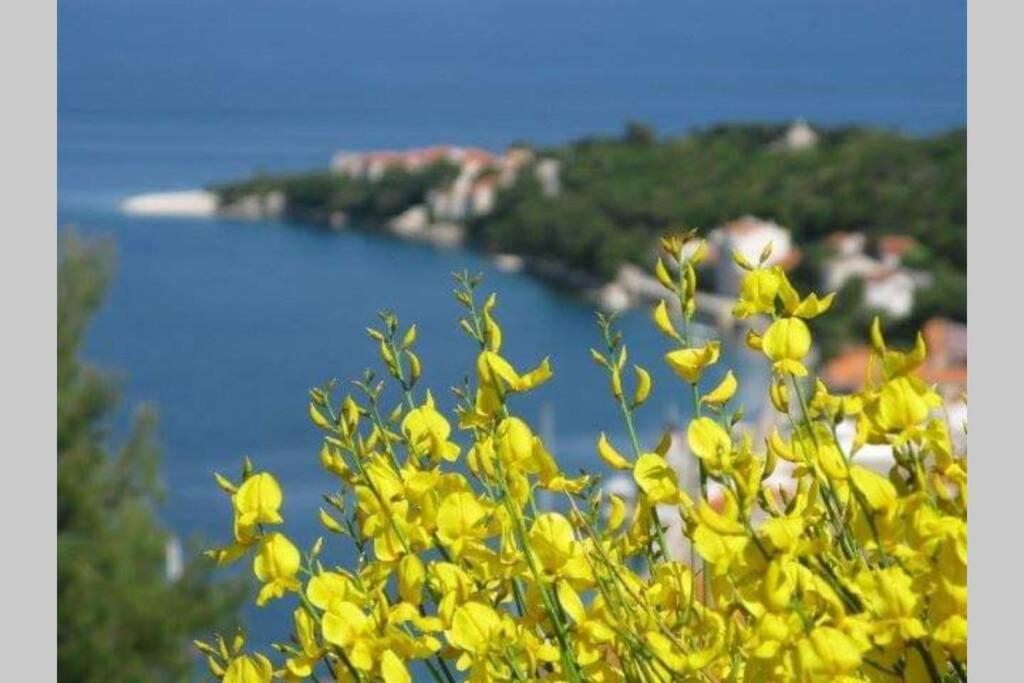Seaview Apartment Sparkle Iskra - Povlja, Brac Povlja  Bagian luar foto
